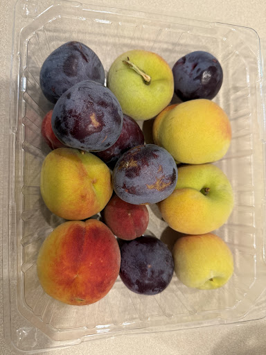 Photo of Zeezenia Farm & Sofra - 28143 SW 46th Ave North Entrance, Newberry, FL 32669