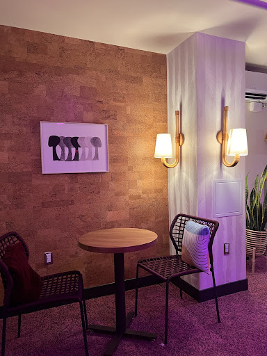 Photo of Life Alive Organic Cafe Harvard Square - 22 John F. Kennedy St, Cambridge, MA 02138