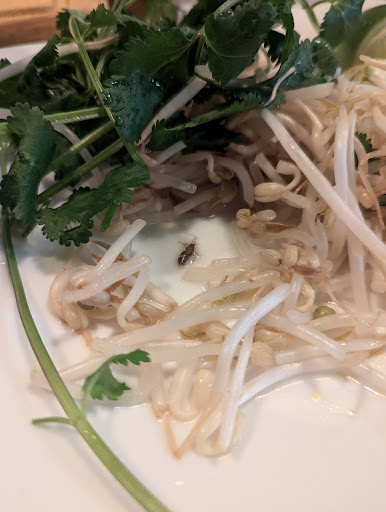 Photo of Bamboo Café - 320 Cash Rd SW, Camden, AR 71701