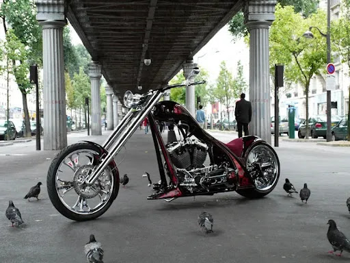 Photo of Wildwood AG Grocery - 5909 N West Ave, El Dorado, AR 71730