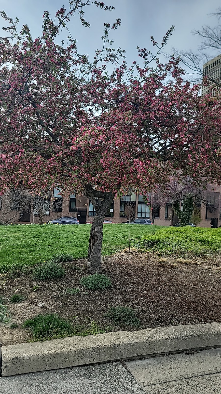 Photo of University Gyro - 38 Spruce St, Philadelphia, PA 19106