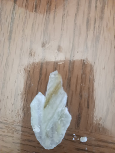 Photo of Papa Gyros - 2045 Cleveland Ave NW, Canton, OH 44709