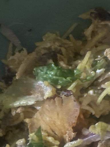 Photo of Shawarma alzaeem food truck - 7880 Culebra Rd, San Antonio, TX 78251