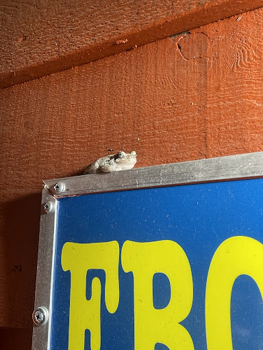 Photo of Don Luna - 2141 S Illinois Ave, Carbondale, IL 62903