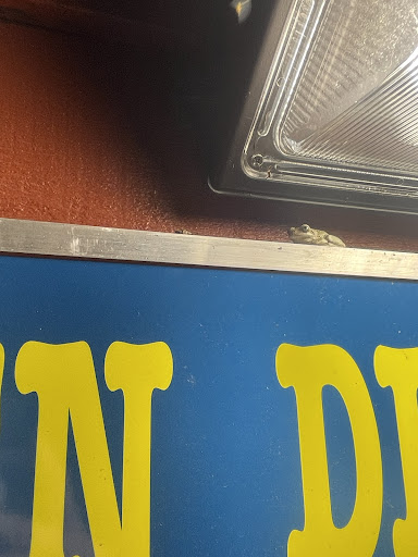 Photo of Don Luna - 2141 S Illinois Ave, Carbondale, IL 62903