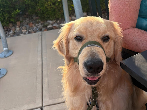 Photo of Greek Kouzina Pittsboro - 367 Freedom Pkwy #100, Pittsboro, NC 27312