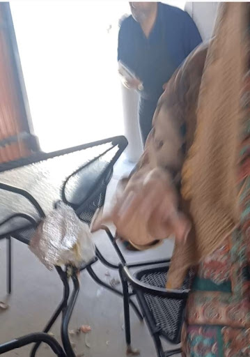 Photo of Al Basha Grocery - 4145 E Grant Rd, Tucson, AZ 85712