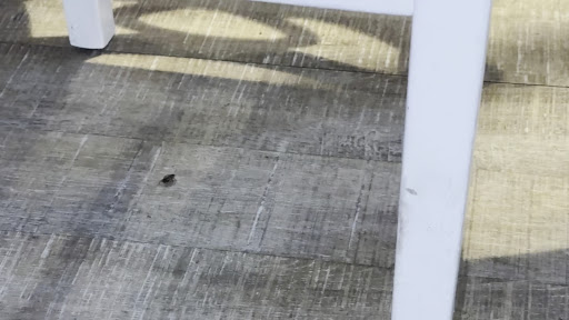 Photo of Momo's Master - 110 N Columbia St, Chapel Hill, NC 27514