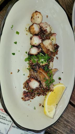 Photo of KID CASHEW - 1608 East Blvd, Charlotte, NC 28203