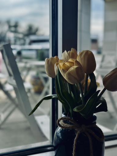 Photo of Fevzi's Mediterranean Grill Cherry Hill - 1650 Kings Hwy N, Cherry Hill Township, NJ 08034