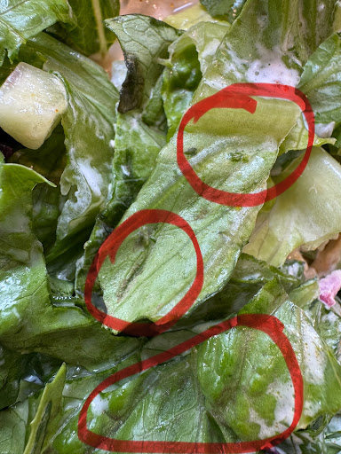 Photo of Naf Naf Grill - 309 W Washington St, Chicago, IL 60606