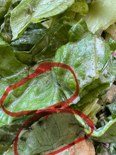 Photo of Naf Naf Grill - 309 W Washington St, Chicago, IL 60606