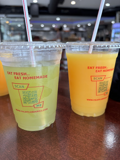 Photo of Falafel & Grill - 1317 N Milwaukee Ave, Chicago, IL 60622