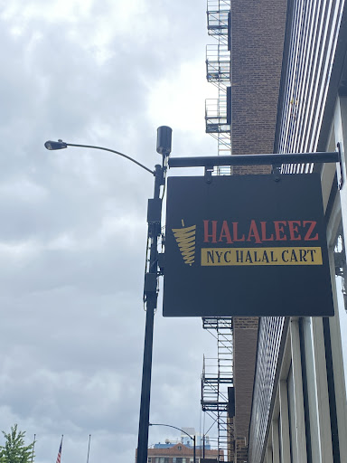 Photo of Halaleez NY Chicken & Gyro Rice Bowls - 400 S Financial Pl, Chicago, IL 60605