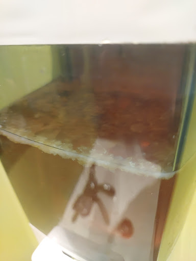 Photo of Sultan Kebab & Bakery - 4950 N Cumberland Ave, Norridge, IL 60706