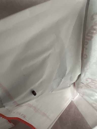 Photo of Friendly's - 529 Memorial Dr, Chicopee, MA 01020