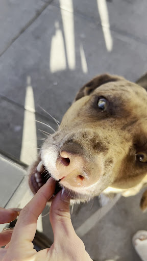 Photo of Abu Kabab - 720 N Lake Ave UNIT 9, Pasadena, CA 91104