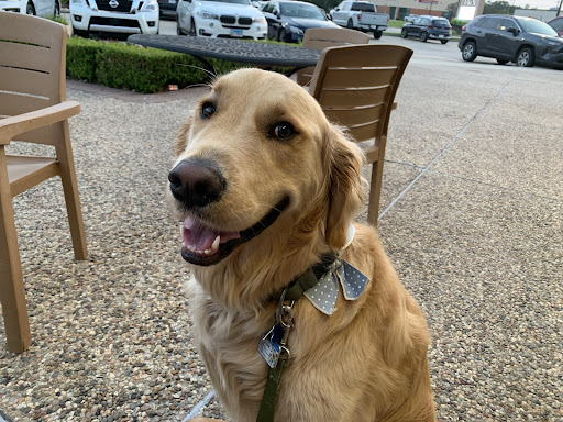 Photo of Baba Kabab - 3809 Ambassador Caffery Pkwy #135C, Lafayette, LA 70503