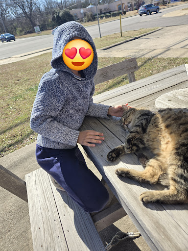 Photo of Spices Garuda Food Truck: Japanese Indonesian Grill - 2112 W Main St, Russellville, AR 72801