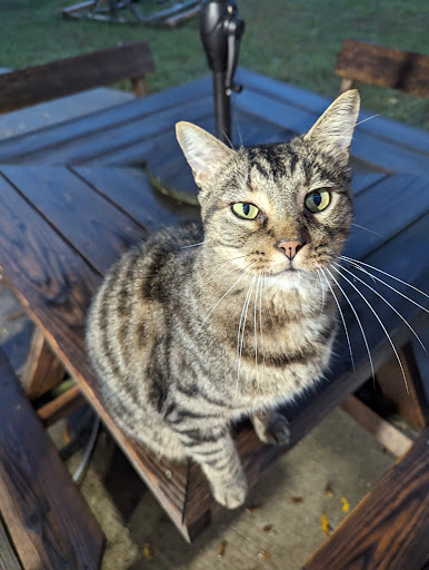 Photo of Spices Garuda Food Truck: Japanese Indonesian Grill - 2112 W Main St, Russellville, AR 72801