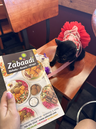 Photo of Zabaadi Kebabs - 7052 W Forest Preserve Dr, Norridge, IL 60706