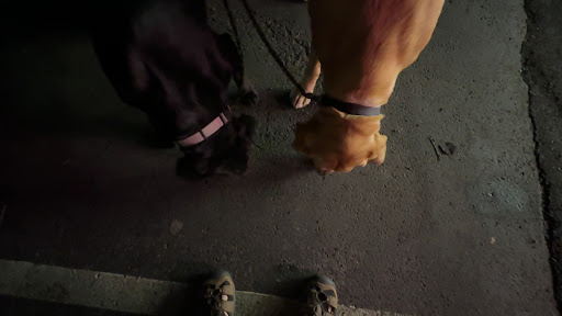 Photo of Dairy Queen Grill & Chill - 107 E Rives Rd, Clinton, MO 64735