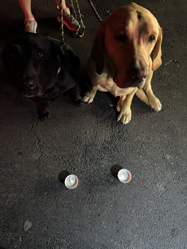 Photo of Dairy Queen Grill & Chill - 107 E Rives Rd, Clinton, MO 64735