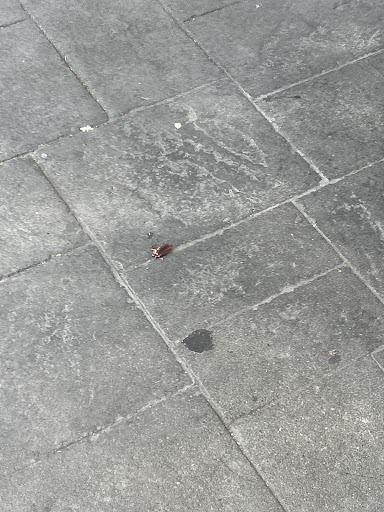 Photo of Dimassi's Mediterranean Buffet - 20380 US-59, Humble, TX 77338