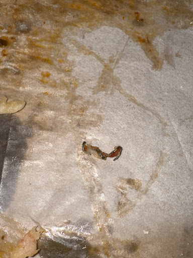 Photo of La Casa De Pizzeria - 98 3rd St #4037, Troy, NY 12180