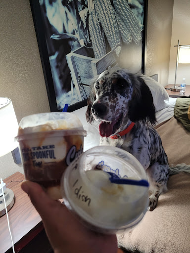 Photo of Culver’s - 436 E Chicago St, Coldwater, MI 49036