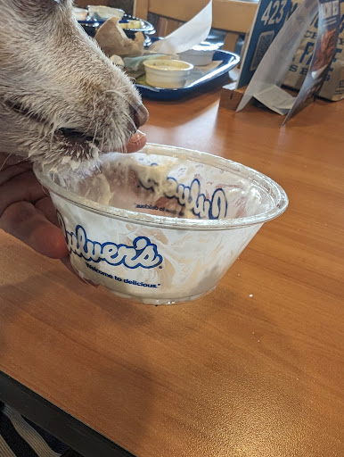 Photo of Culver’s - 436 E Chicago St, Coldwater, MI 49036