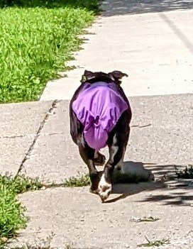 Photo of Culver’s - 436 E Chicago St, Coldwater, MI 49036