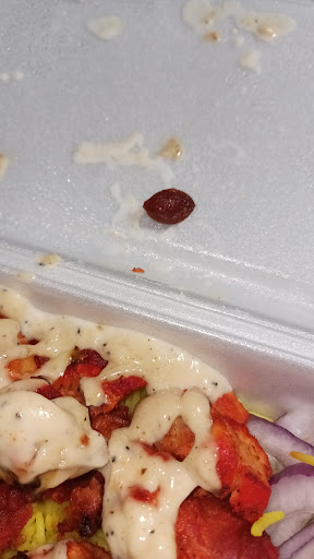 Photo of Al-Safa Pizza & Grill - 1550 Garrett Rd, Upper Darby Township, PA 19082