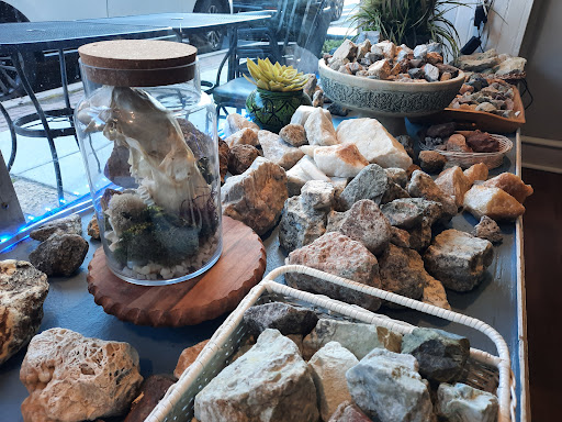 Photo of Desert Rose - 305 W State St, Media, PA 19063