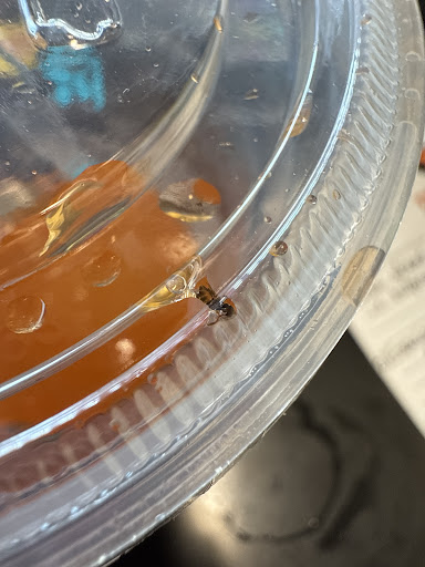 Photo of Greek Express - 1100 W 5th Ave, Columbus, OH 43212