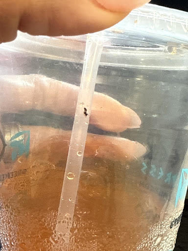 Photo of Greek Express - 1100 W 5th Ave, Columbus, OH 43212