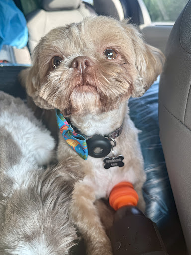 Photo of The Halal Spot - 1875 S Willow St, Manchester, NH 03103