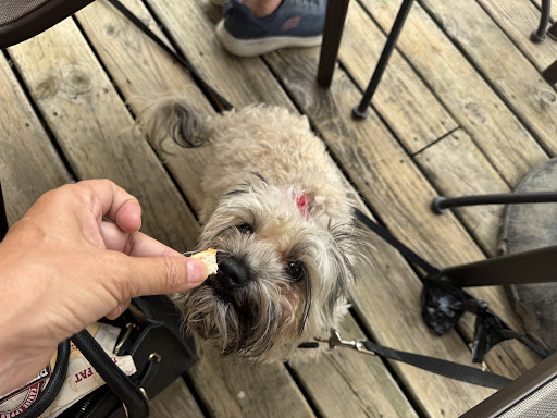Photo of Shakespeare's Pub And Grill - 819 S 1st Ave, Iowa City, IA 52245