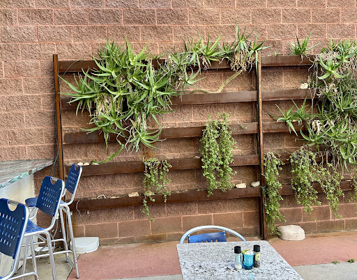 Photo of Pita Jungle - 7090 N Oracle Rd # 128, Tucson, AZ 85704