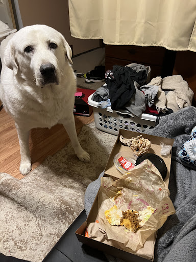 Photo of Taco Bell - 10110 S 15th St, Bellevue, NE 68123