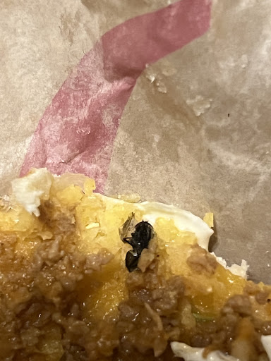 Photo of Taco Bell - 10110 S 15th St, Bellevue, NE 68123