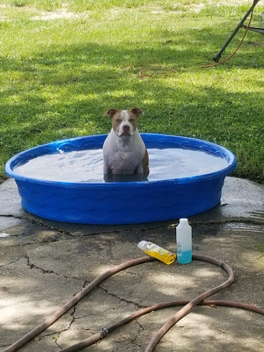 Photo of Cedar Grocery - 1115 Jefferson St, Lafayette, LA 70501