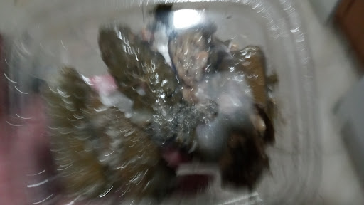 Photo of Gyroville Hollywood - 4917 Sheridan St, Hollywood, FL 33021