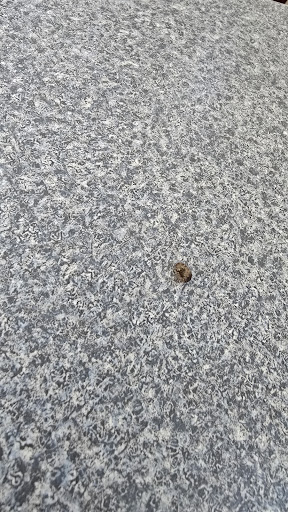 Photo of Jerusalem Middle Eastern Cuisine - 601 S Wright St, Champaign, IL 61820