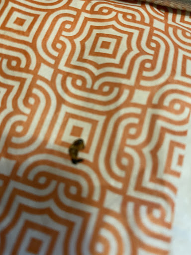 Photo of Naf Naf Grill - 17W746 W 22nd St, Oakbrook Terrace, IL 60181