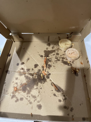 Photo of Damasqino pizza - 7752 N Milwaukee Ave, Niles, IL 60714