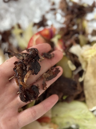 Photo of Istanbul Market and Cafe - 2318 S Elmhurst Rd, Mt Prospect, IL 60056