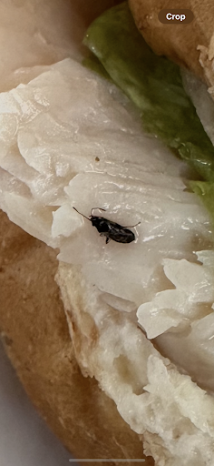 Photo of Bo Diddley's Deli - 19 College Ave N, St Joseph, MN 56374