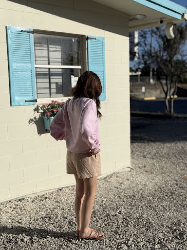 Photo of Toshka Syrian Street Food - 14851 S Apopka Vineland Rd, Orlando, FL 32821