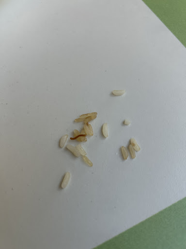 Photo of Chickpeas Fresh Mediterranean Kitchen - 4200 Conroy Rd, Orlando, FL 32839